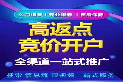 案例分析：竞价推广实战中的困境与突破